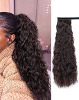 LUX PONTAIL - QUA HAIR 